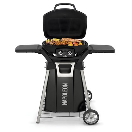 Napoleon Travel Stand TravelQ PRO285 and PRO285E